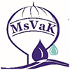 100x100_msvak